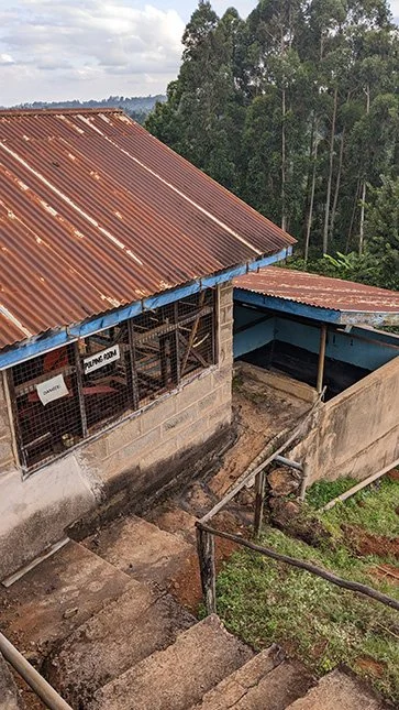 Kenya-Gondo-Picture-7.jpg