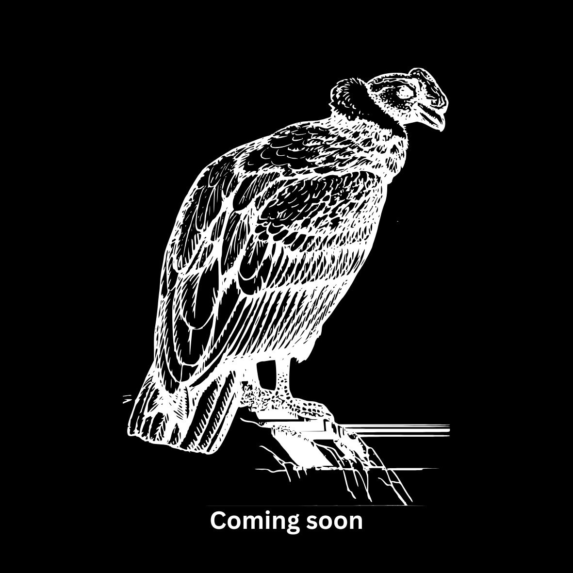 10oz bag - Colombia Buesaco Alianza Granjeros  (pre-order)