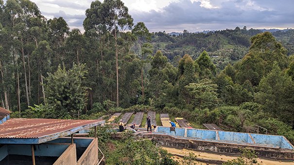 Kenya-Gondo-Picture-3.jpg