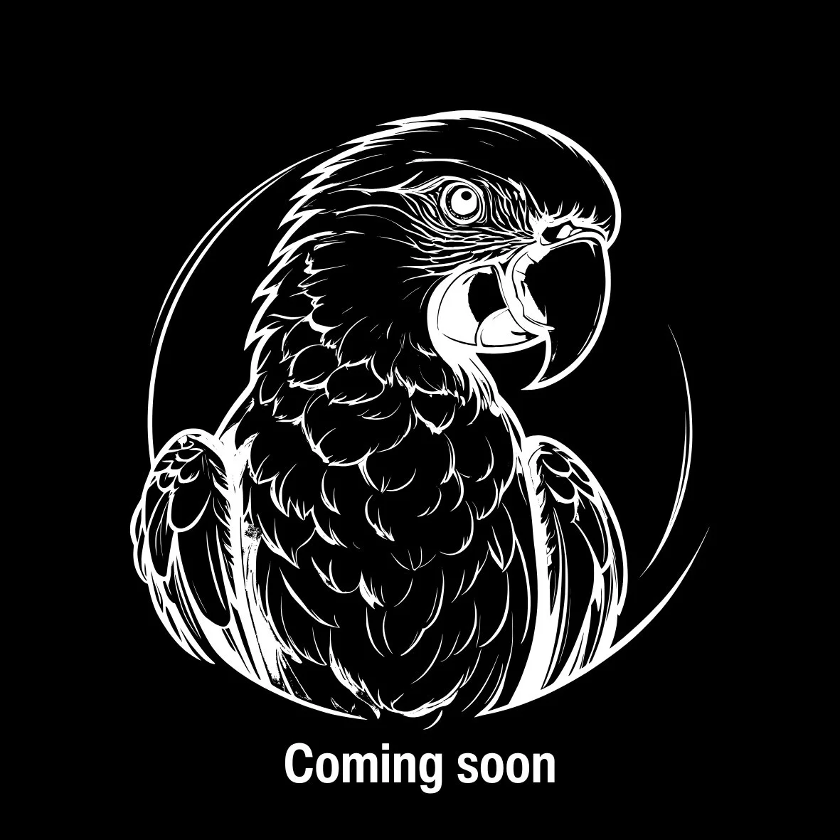 Honduran Org. SHG EP COMSA (Pre-Order)