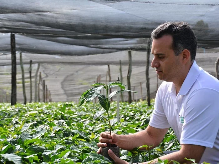 cafe-kreyol-organic-coffee-farmers-Dominican-Republic-Ramirez-Estate-03.jpg