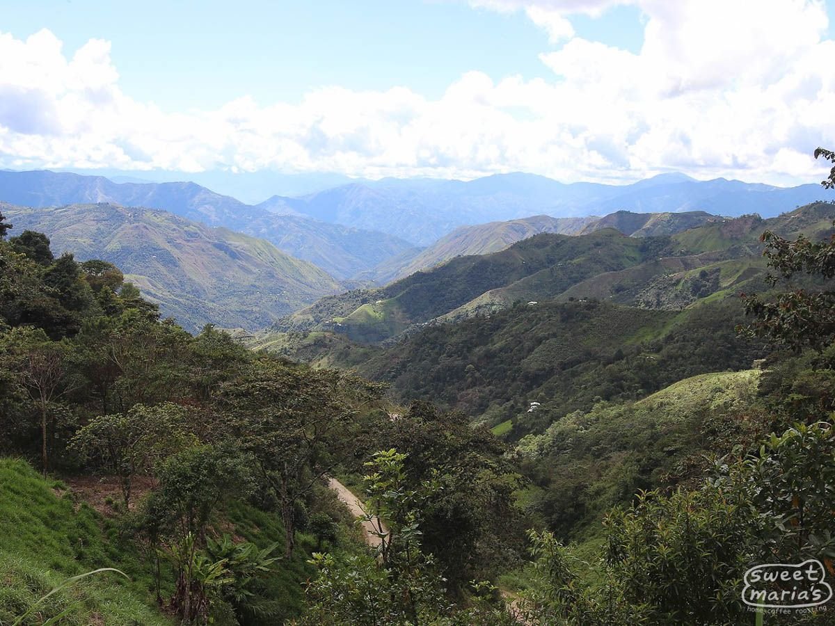 peru-sweet-marias-huabal-3_3 (2).jpg