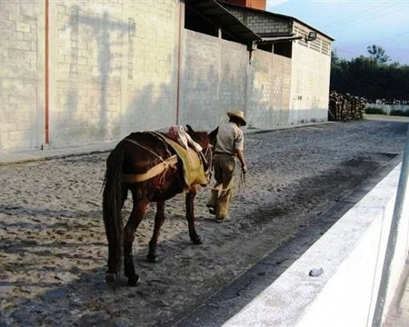 losvolcanes1.jpg