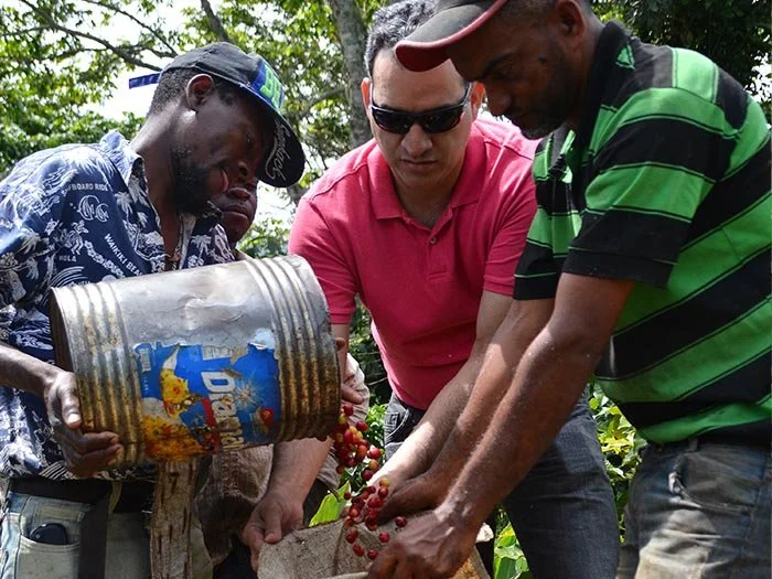 cafe-kreyol-organic-coffee-farmers-Dominican-Republic-Ramirez-Estate-02.jpg