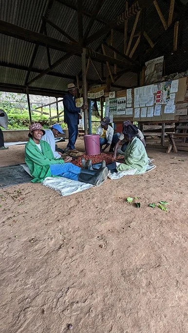 Kenya-Gondo-Picture-5.jpg