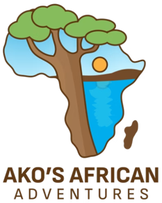 Ako's African Adventures 