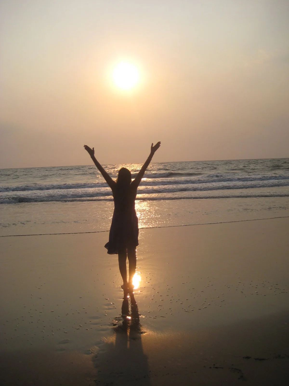 Acompañamiento Almaté®