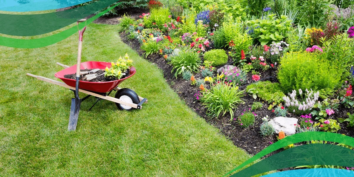 Lawn Care Free Estimate