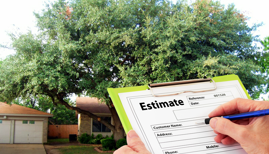 Tree Service Free Estimate