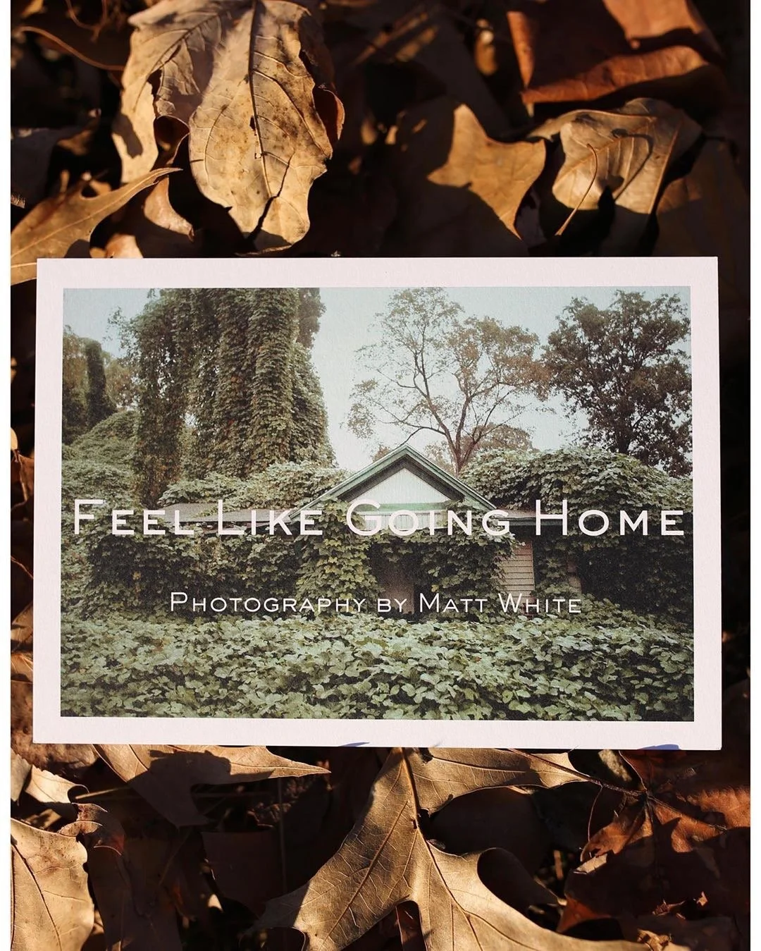 A photograph of a house covered in lush greenery and ivy, set against a background of trees and a clear sky, with the title 'Feel Like Going Home' and photography credit to Matt White.