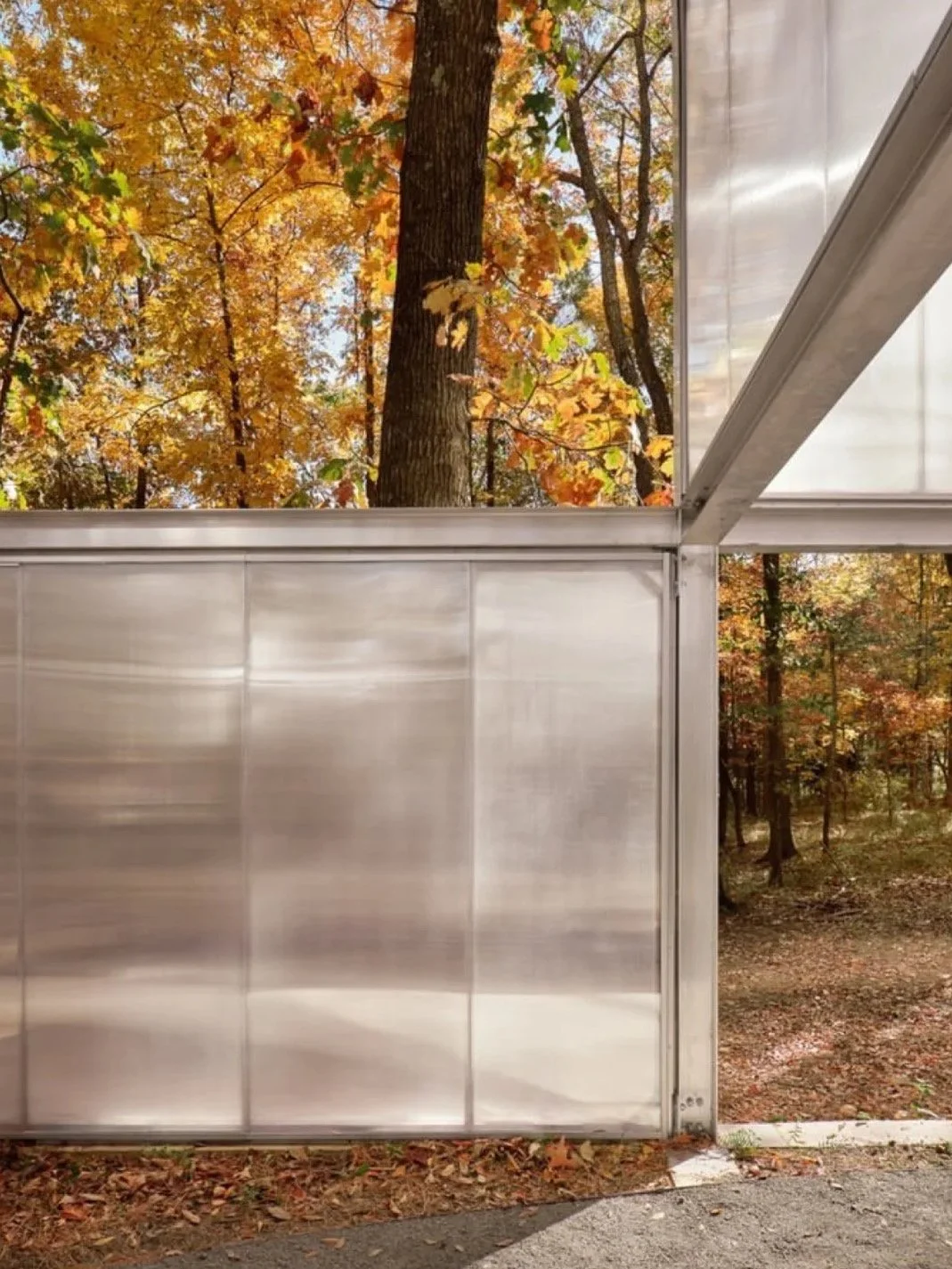 Translucent panels, metal beams, this architectural follie set against a forest of fall foliage defines the concept of this project.