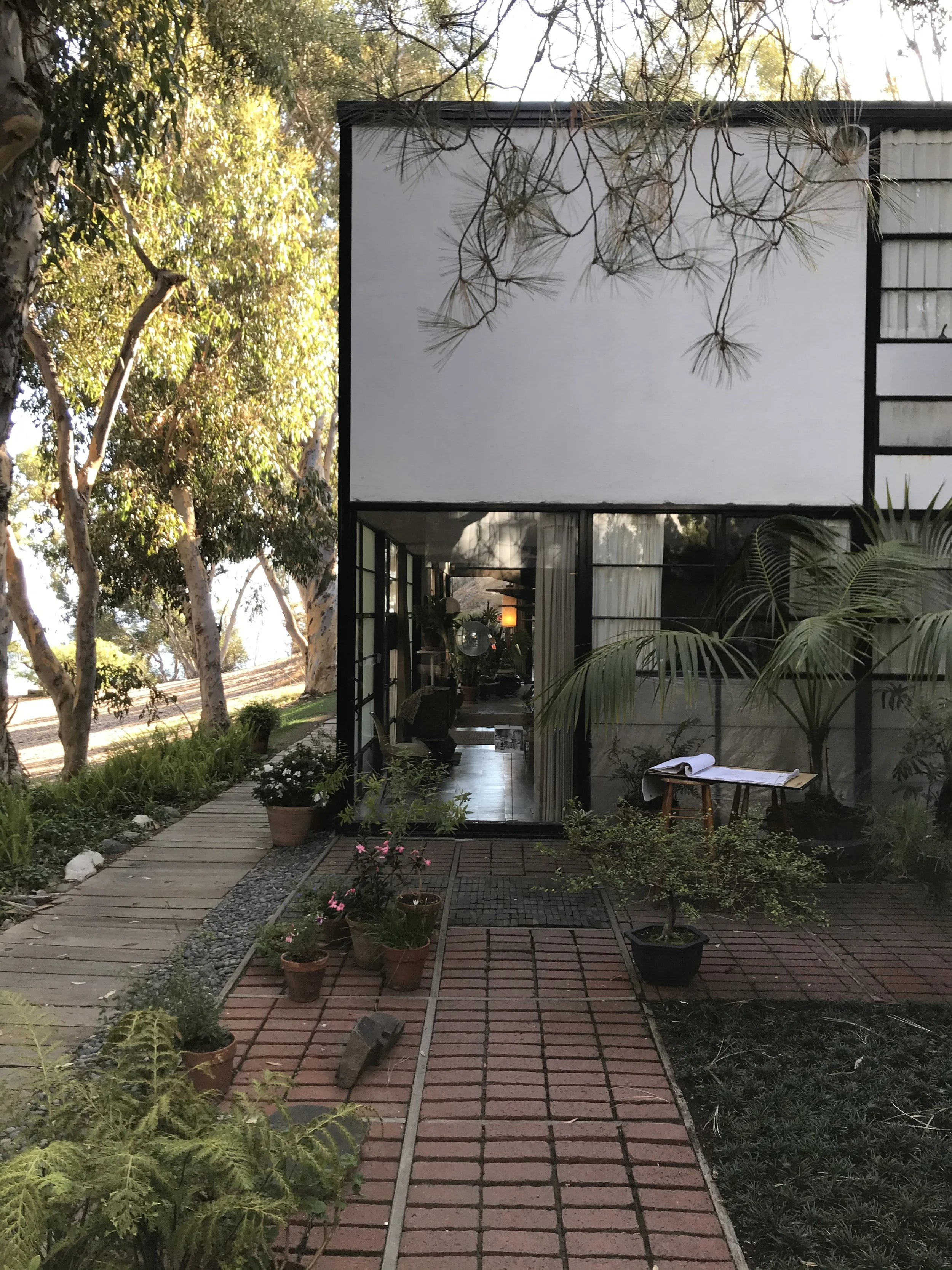 A courtyard with a brick pathway surrounded by potted plants, trees, and lush greenery, leading to a modern building with large glass windows and an open interior visible inside.