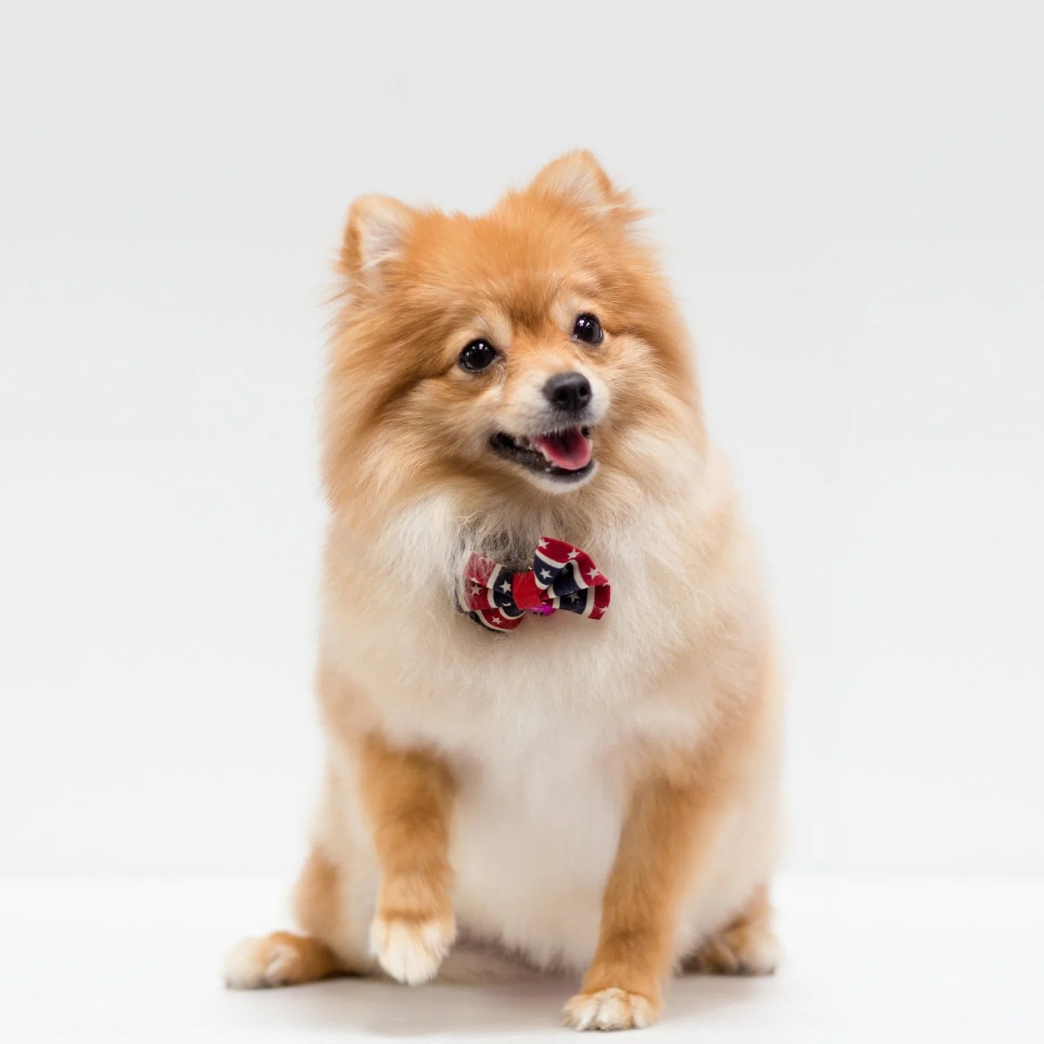 Full groom