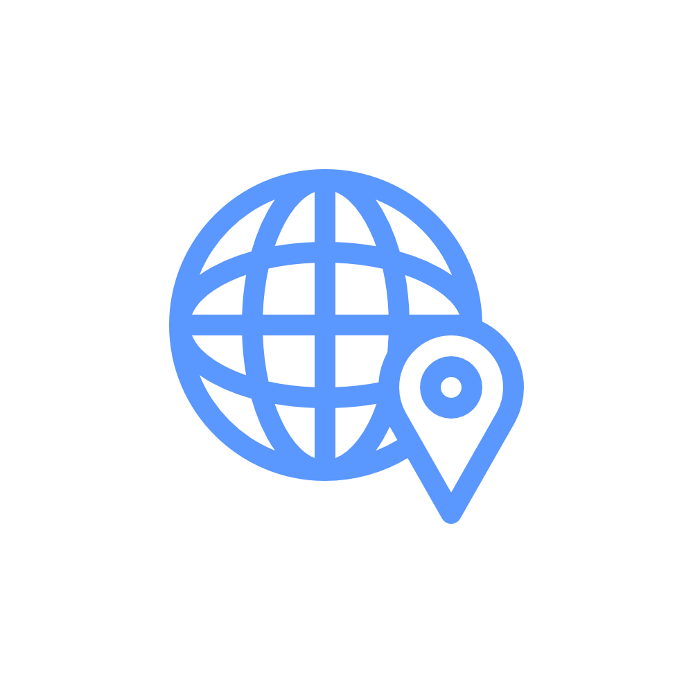 A blue icon of a globe with latitude and longitude lines, combined with a location pin marker.
