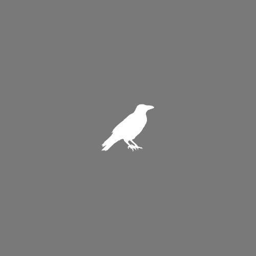 White silhouette of a bird on a gray background.