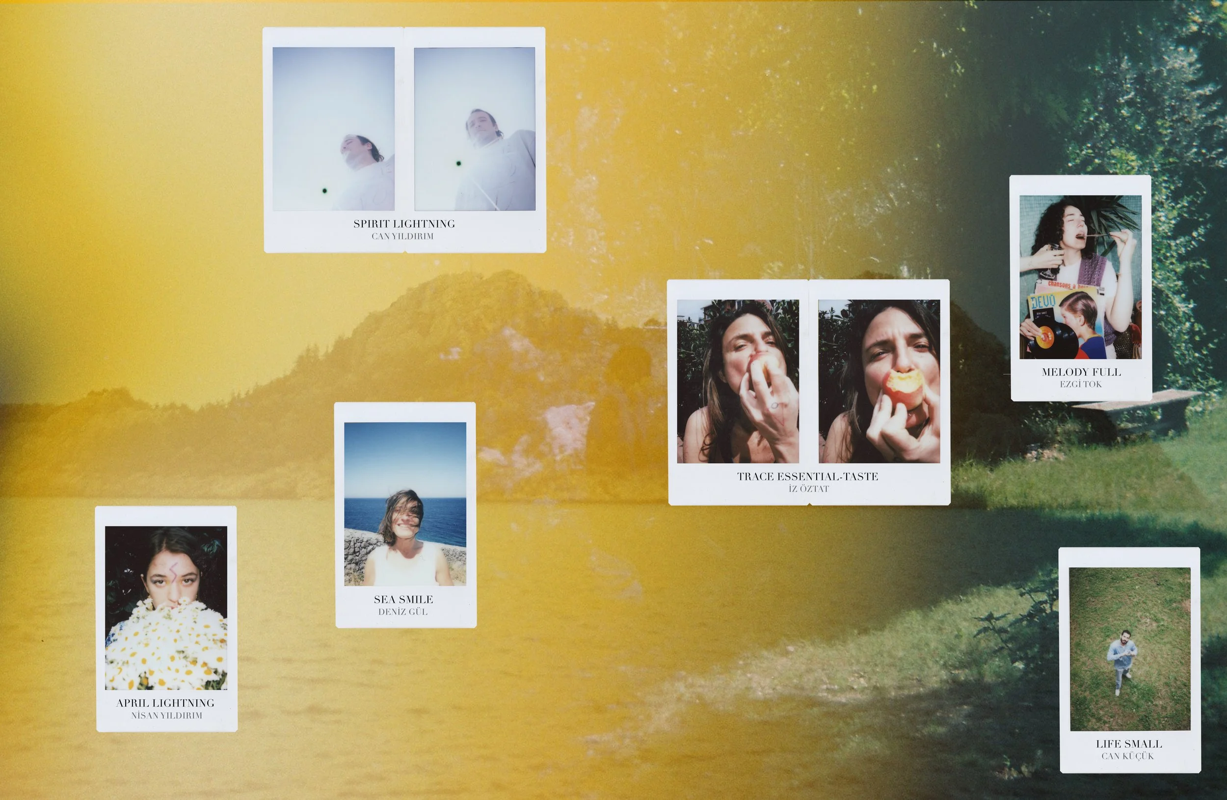 Introducing Some of My Friends to the International Art World