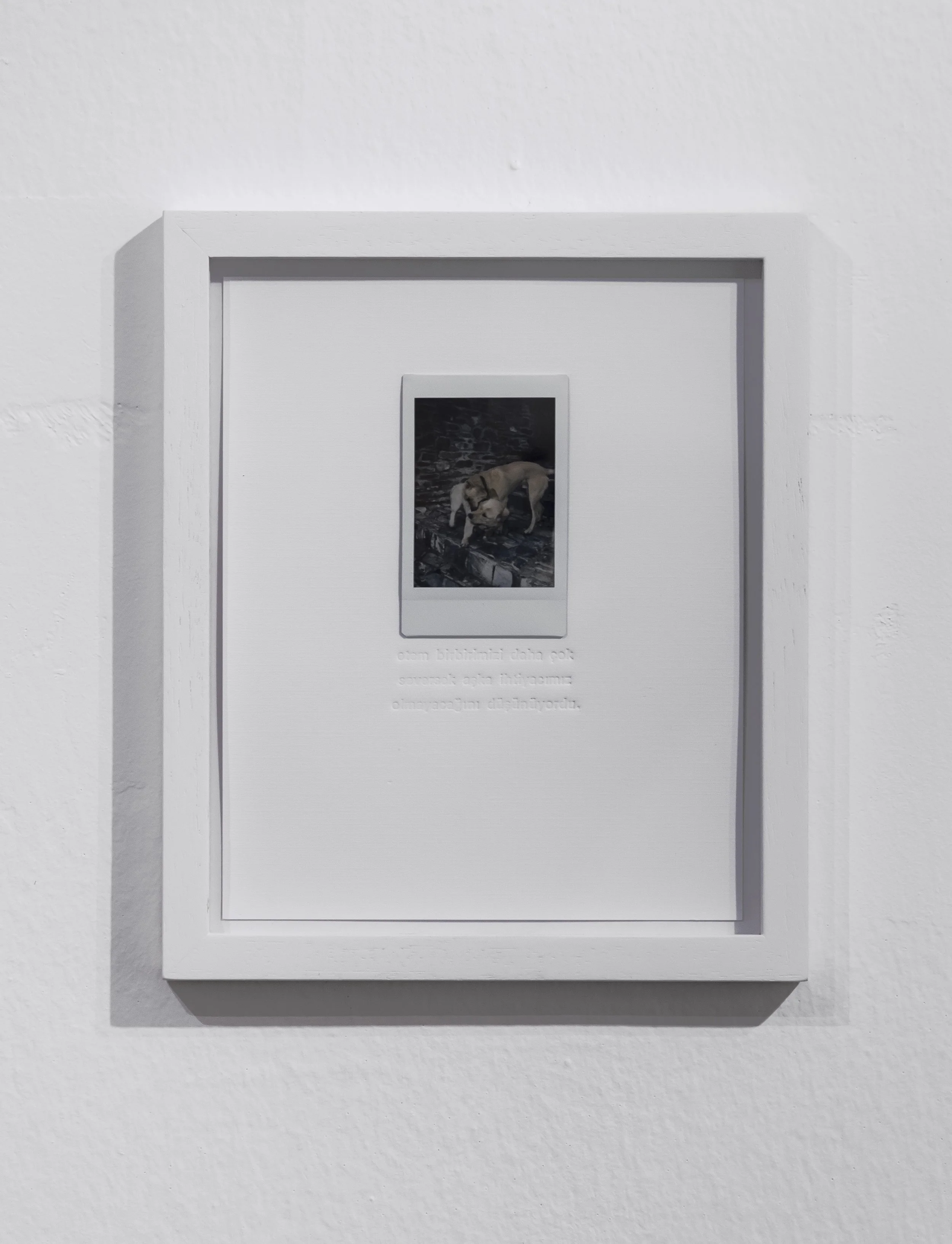 Etem thought that if we loved each other more, we wouldn’t need romantic love.