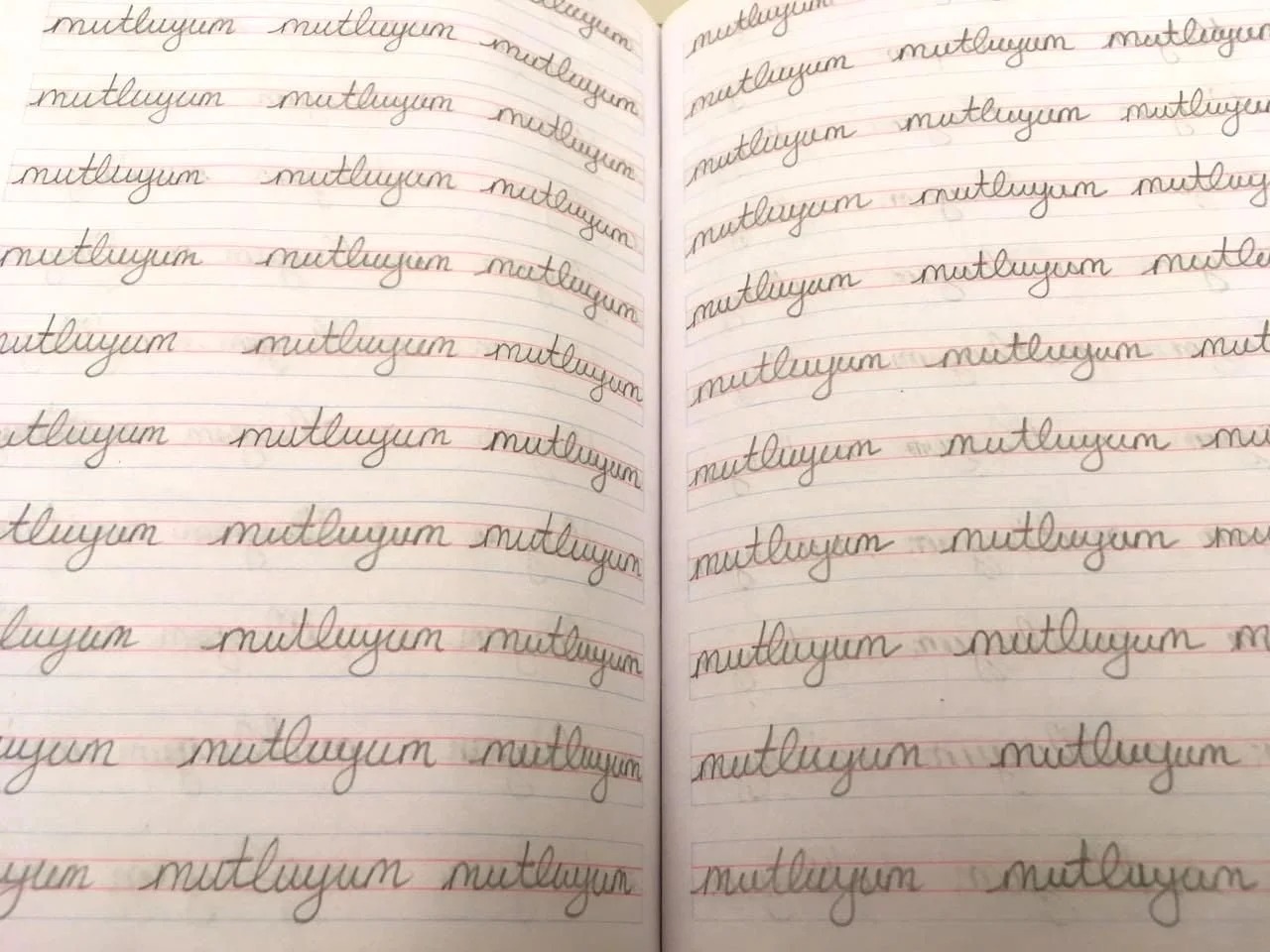 Detail view of the notebook