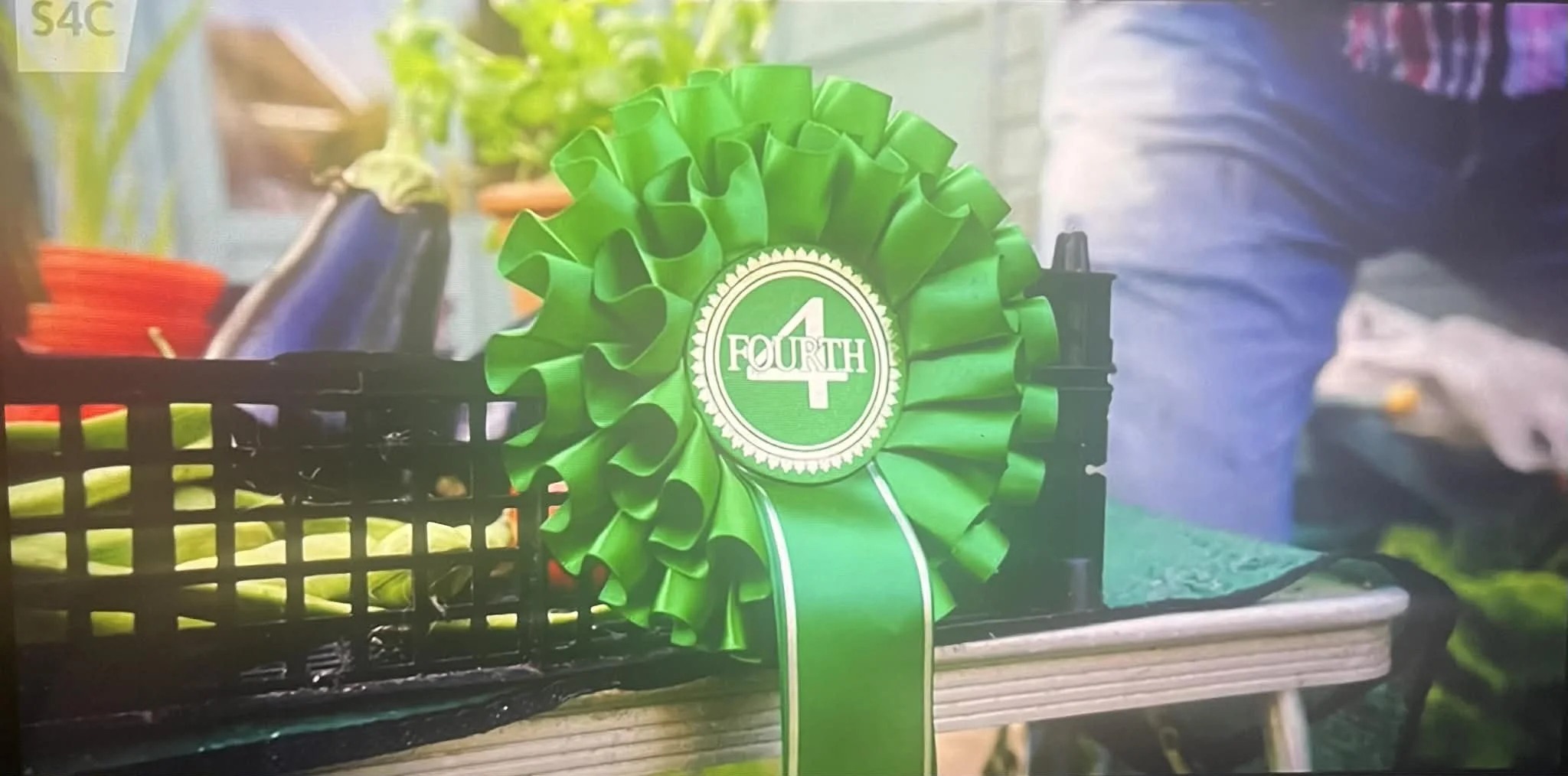 ims.ribbon.jpg