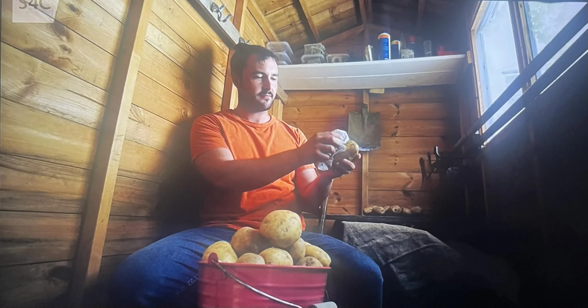 ims.potatopolish.jpg