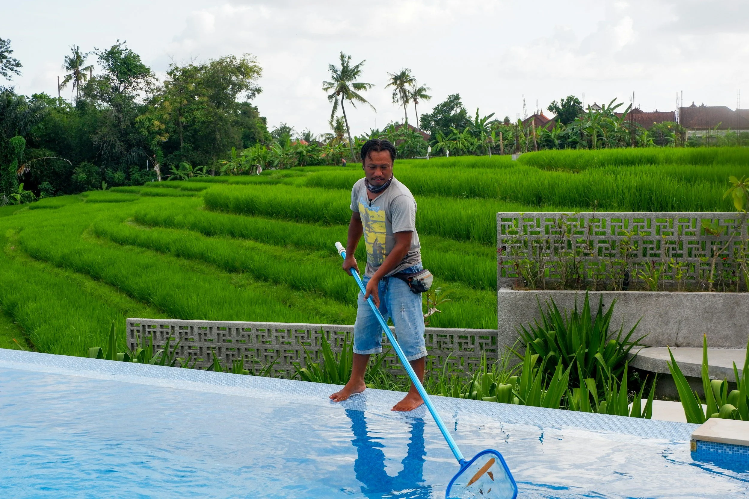 A man in a gray t-shirt and blue shorts stands barefoot by an outdoor swimming pool, holding a pool net, with lush green rice fields and tropical trees in the background.