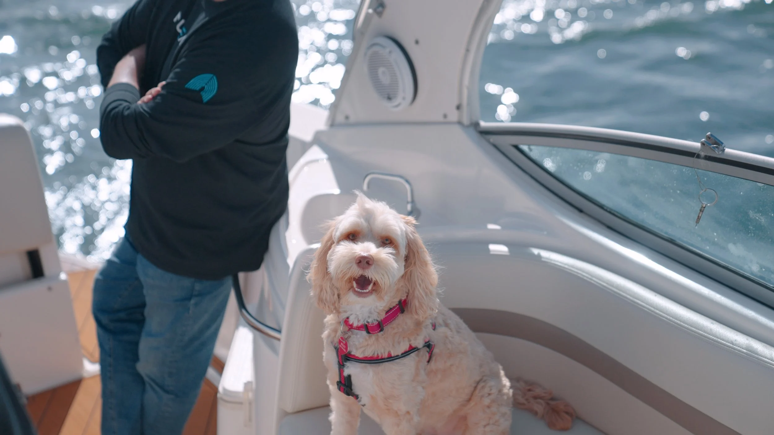 Nauteva Marine Flooring Dog Image