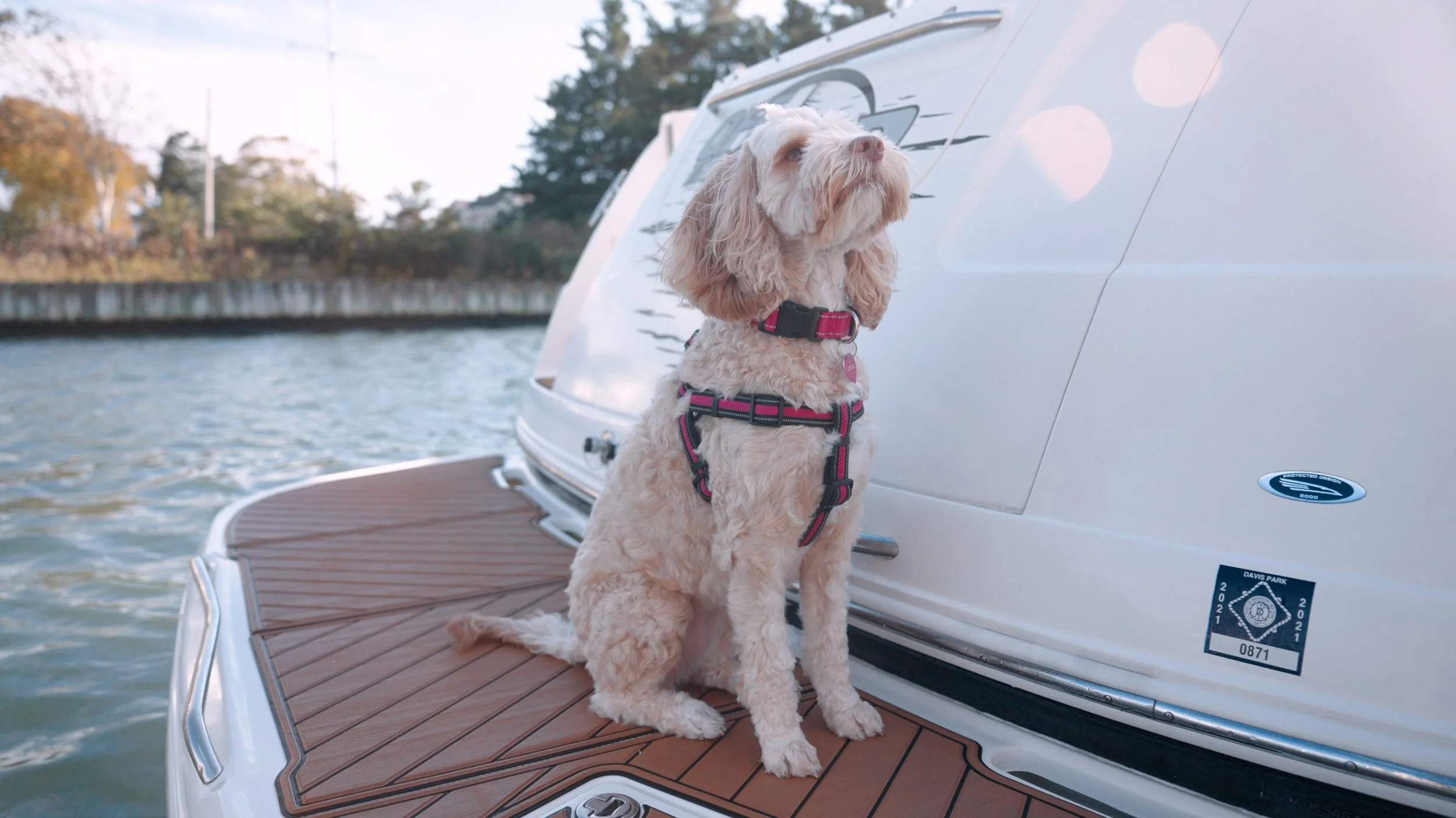 Nauteva Marine Flooring Swim Platform