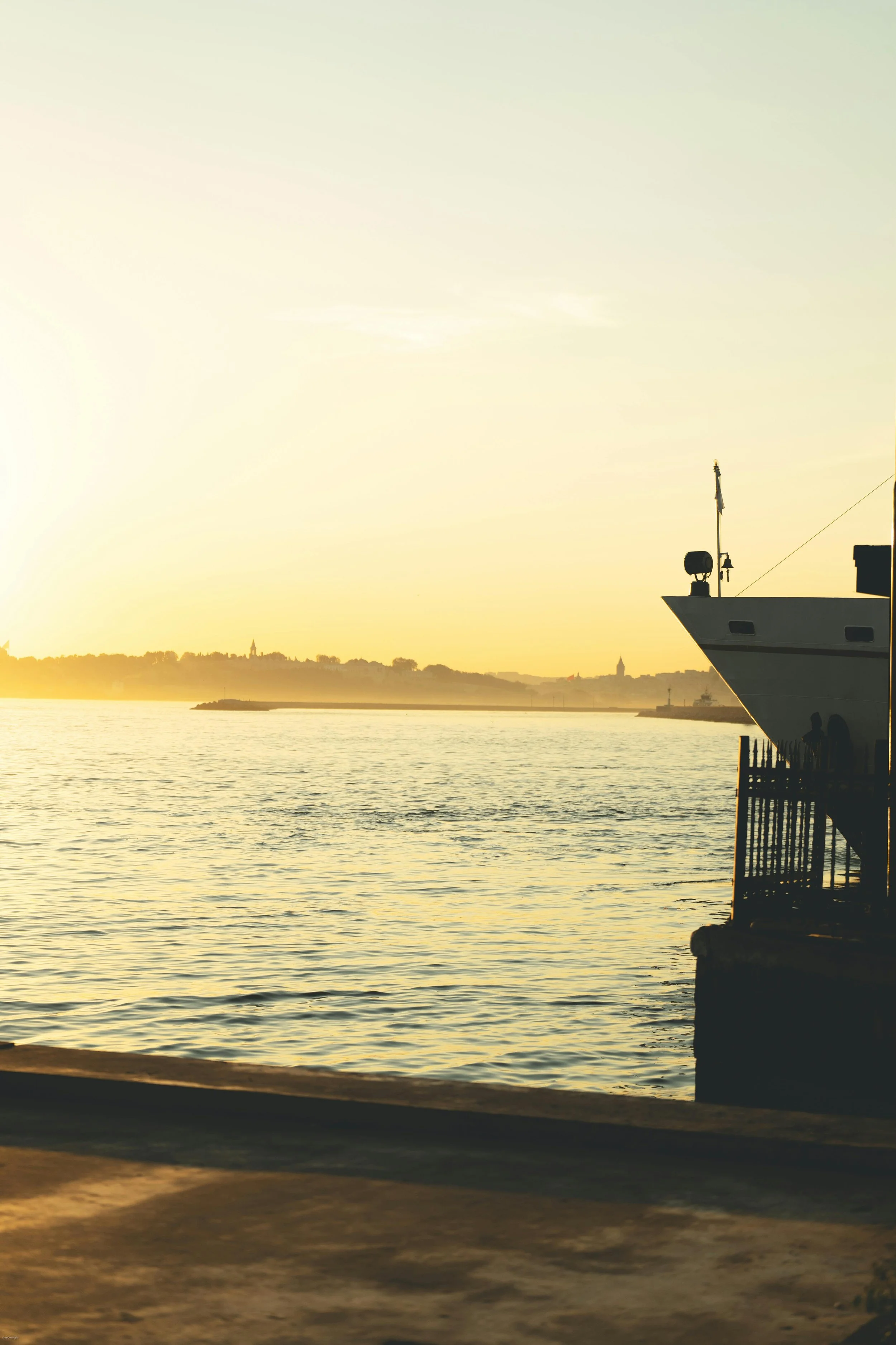 Rescue – Ed’s Story