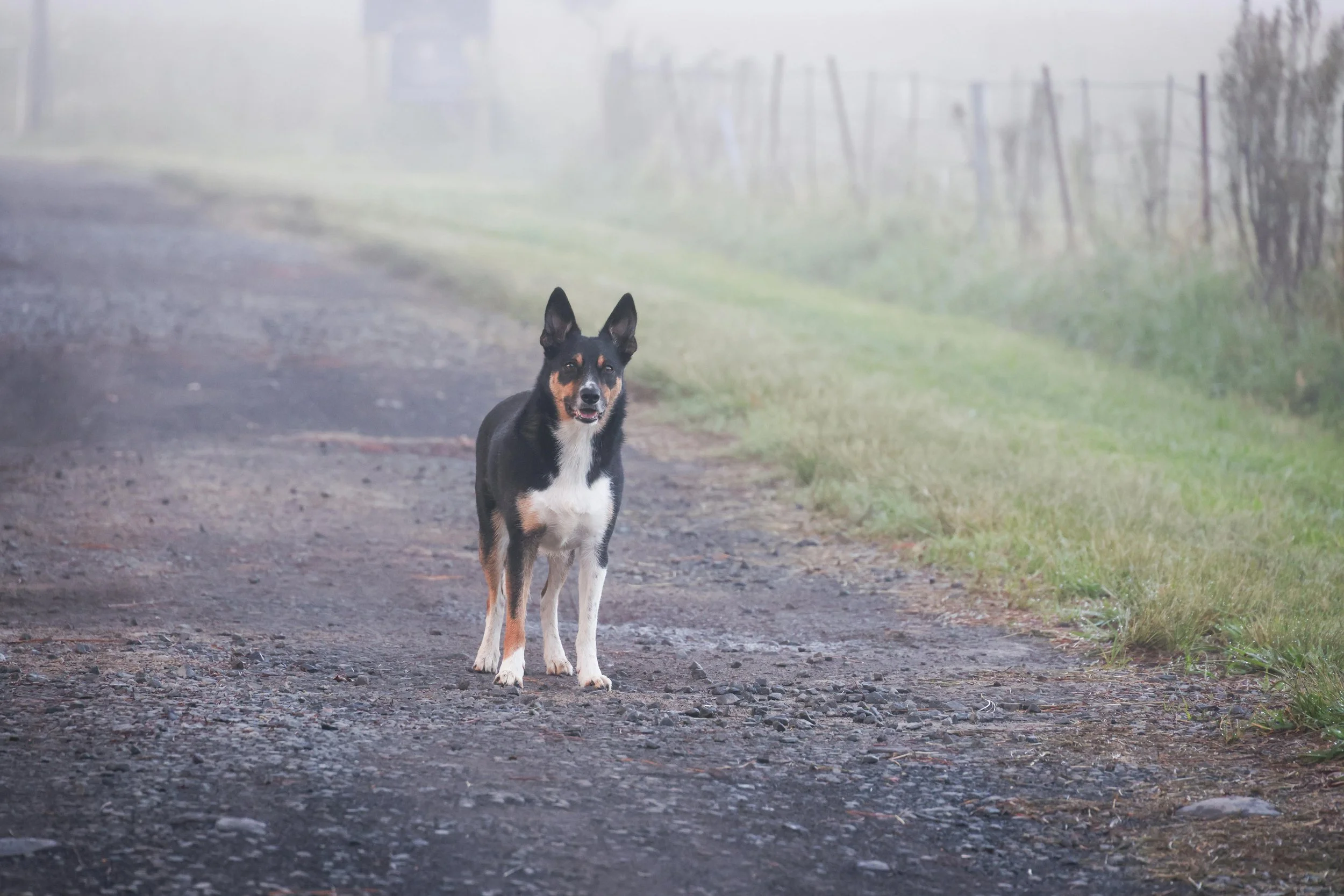 “Stop!” Story #1