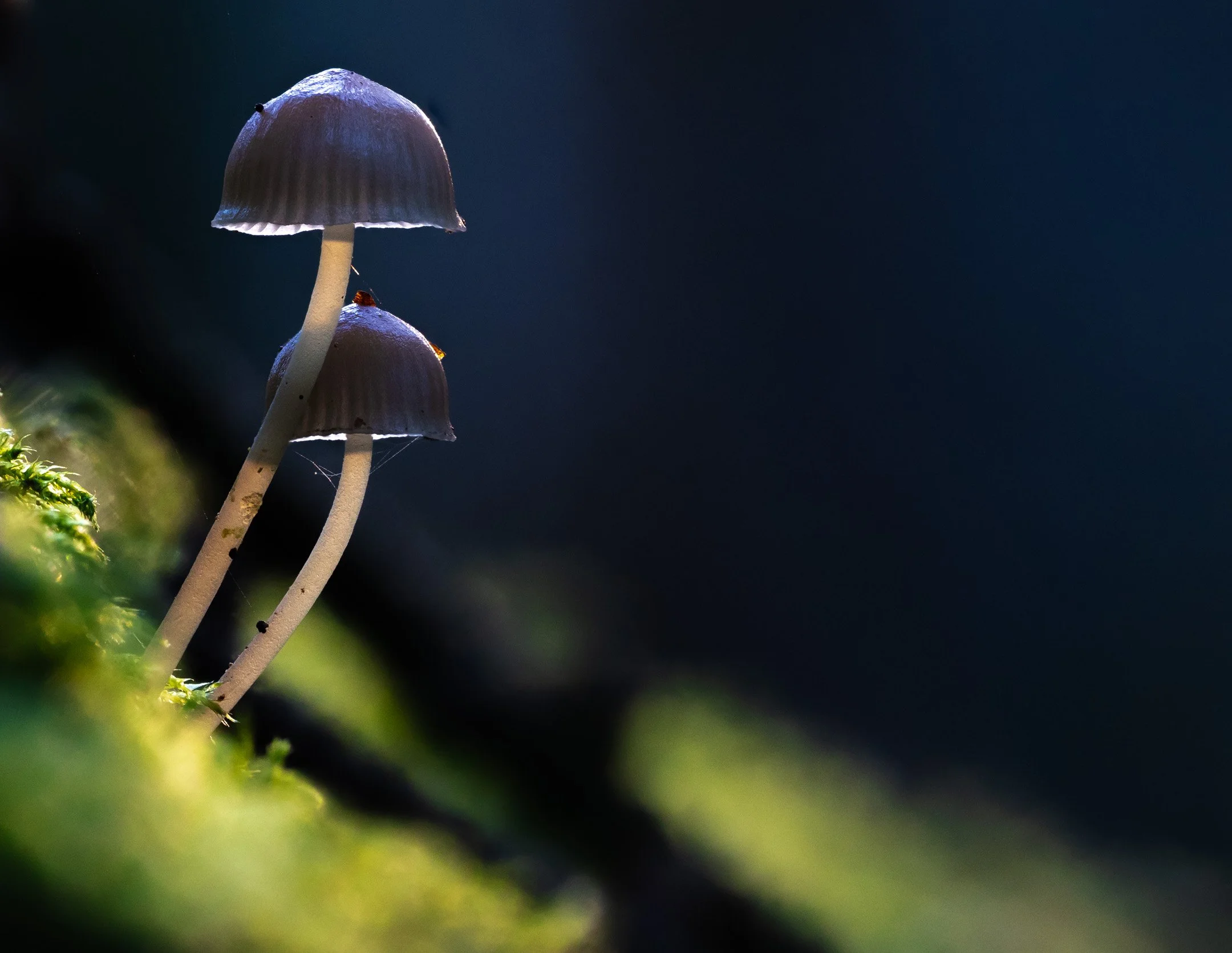 2025-12-09 09-33-29 (B,R8,S4).jpg