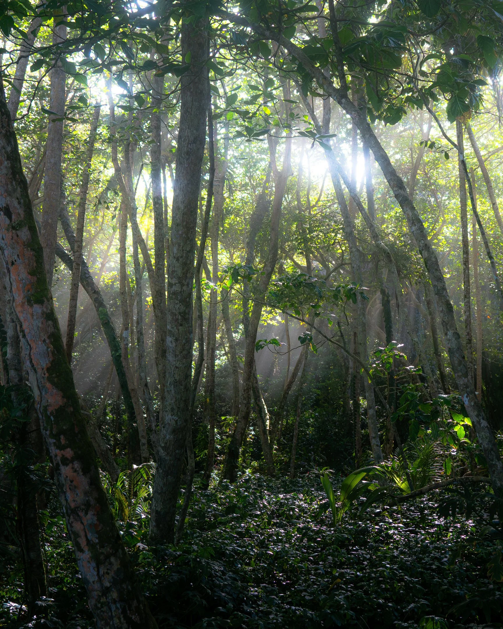 P1220220 copy-2.jpg