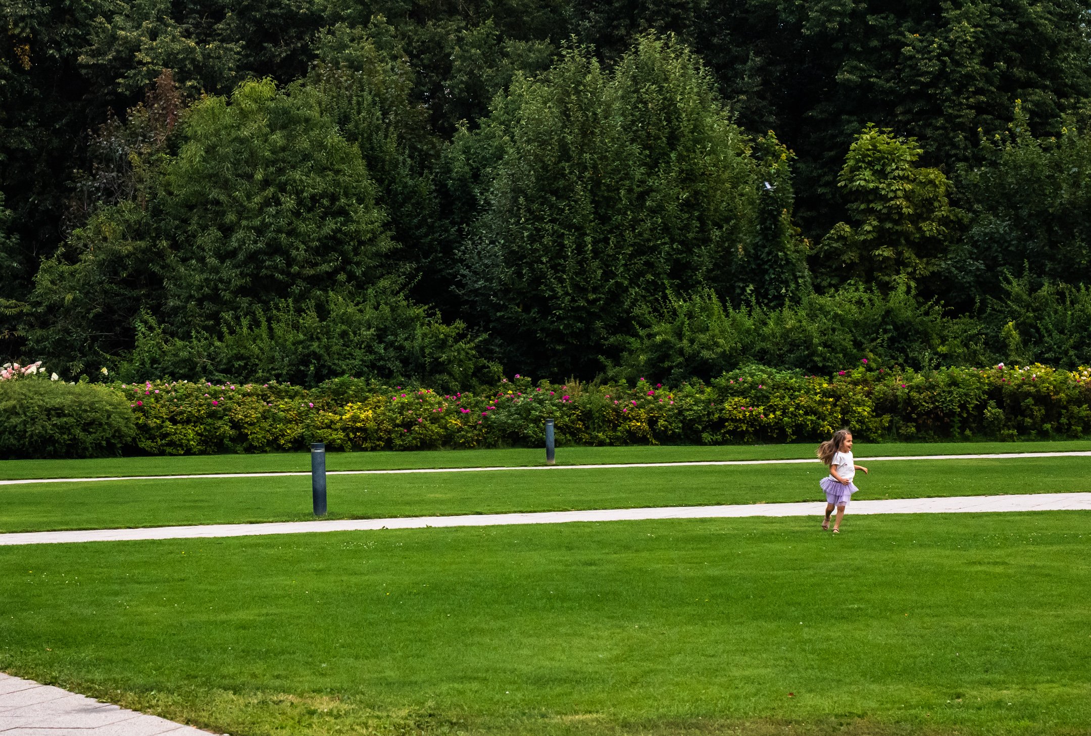 P8162137.jpg