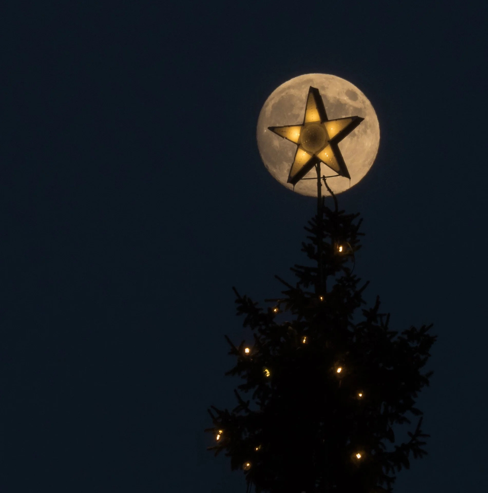 P1054690.jpg