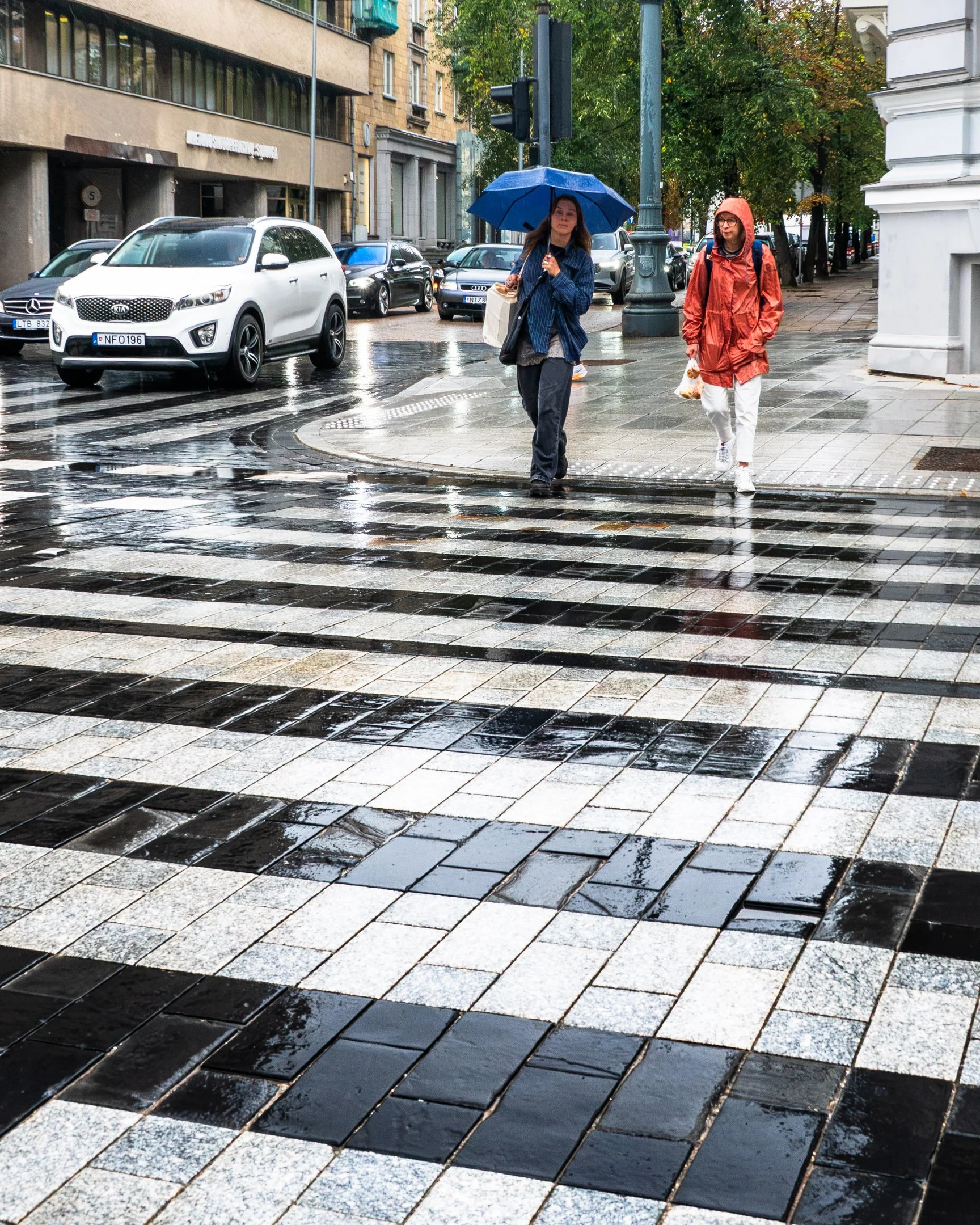 P8182441.jpg