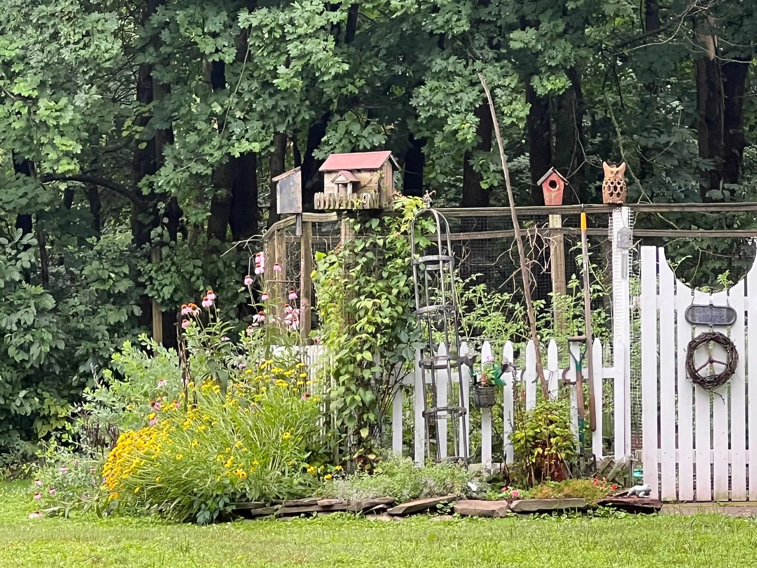 garden therapy.jpg
