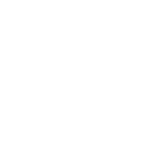 Nexus Logo Icon White