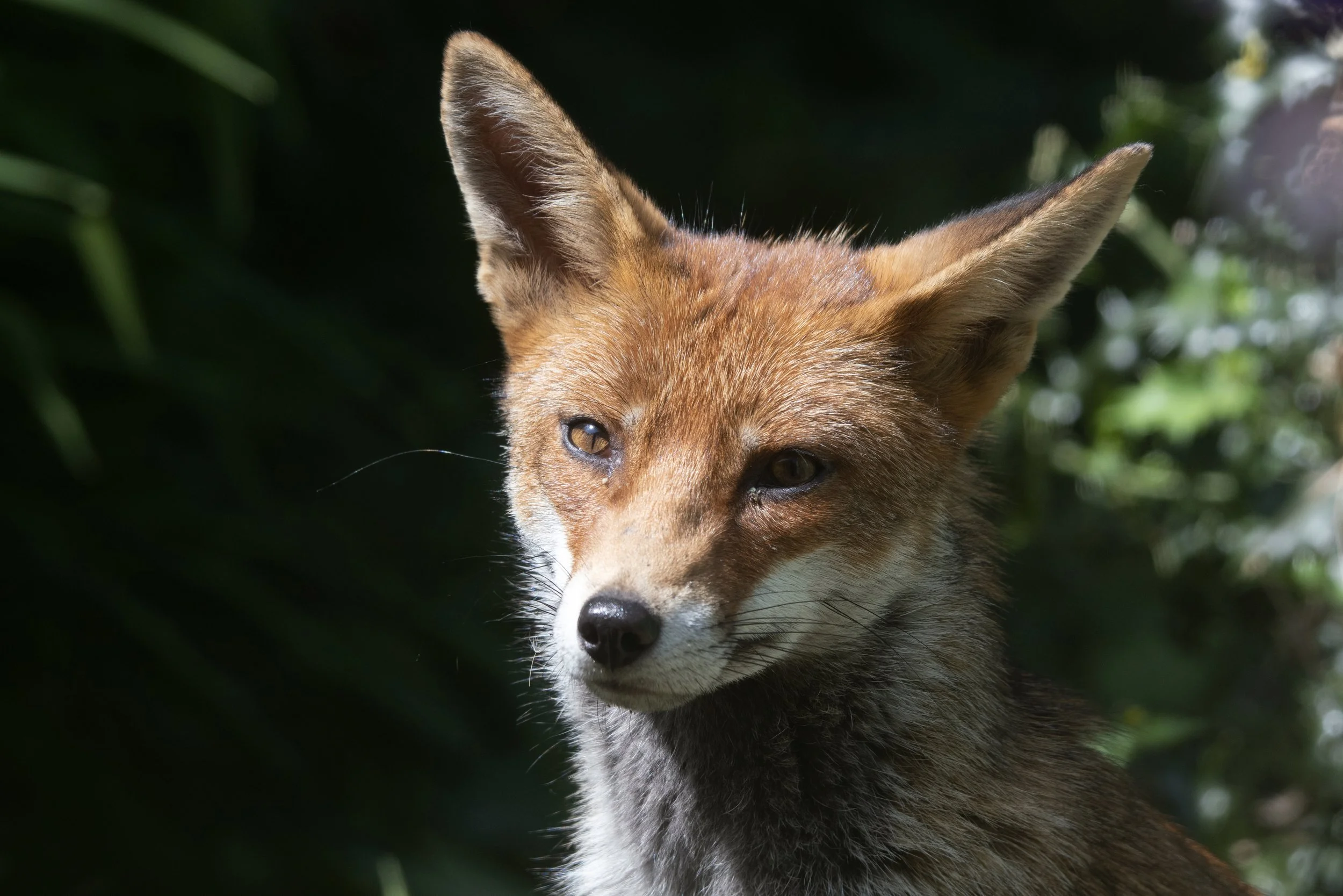 DSC_1488-FINAL EDIT copy.jpg