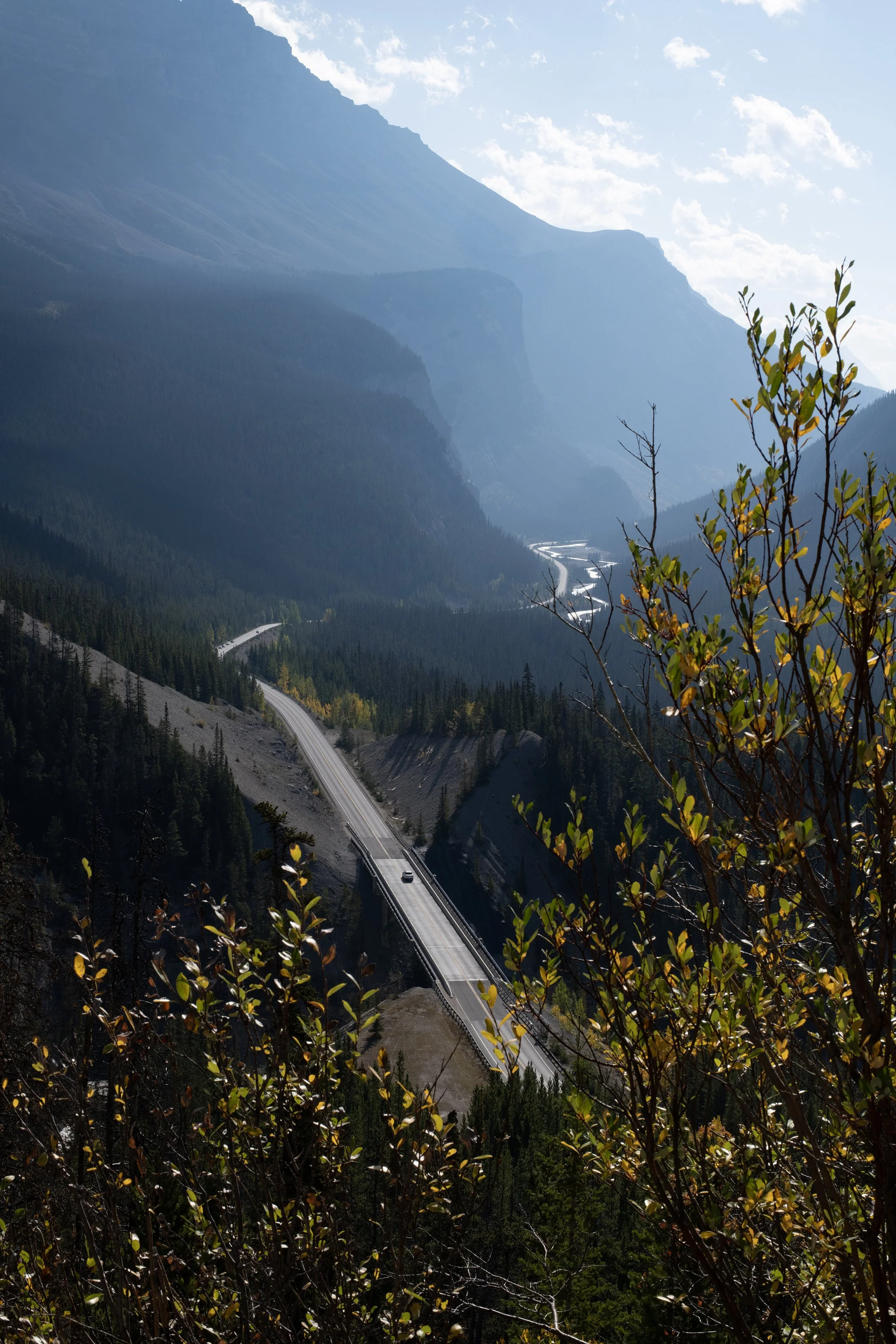 DSC_1921-1 EDIT copy.jpg