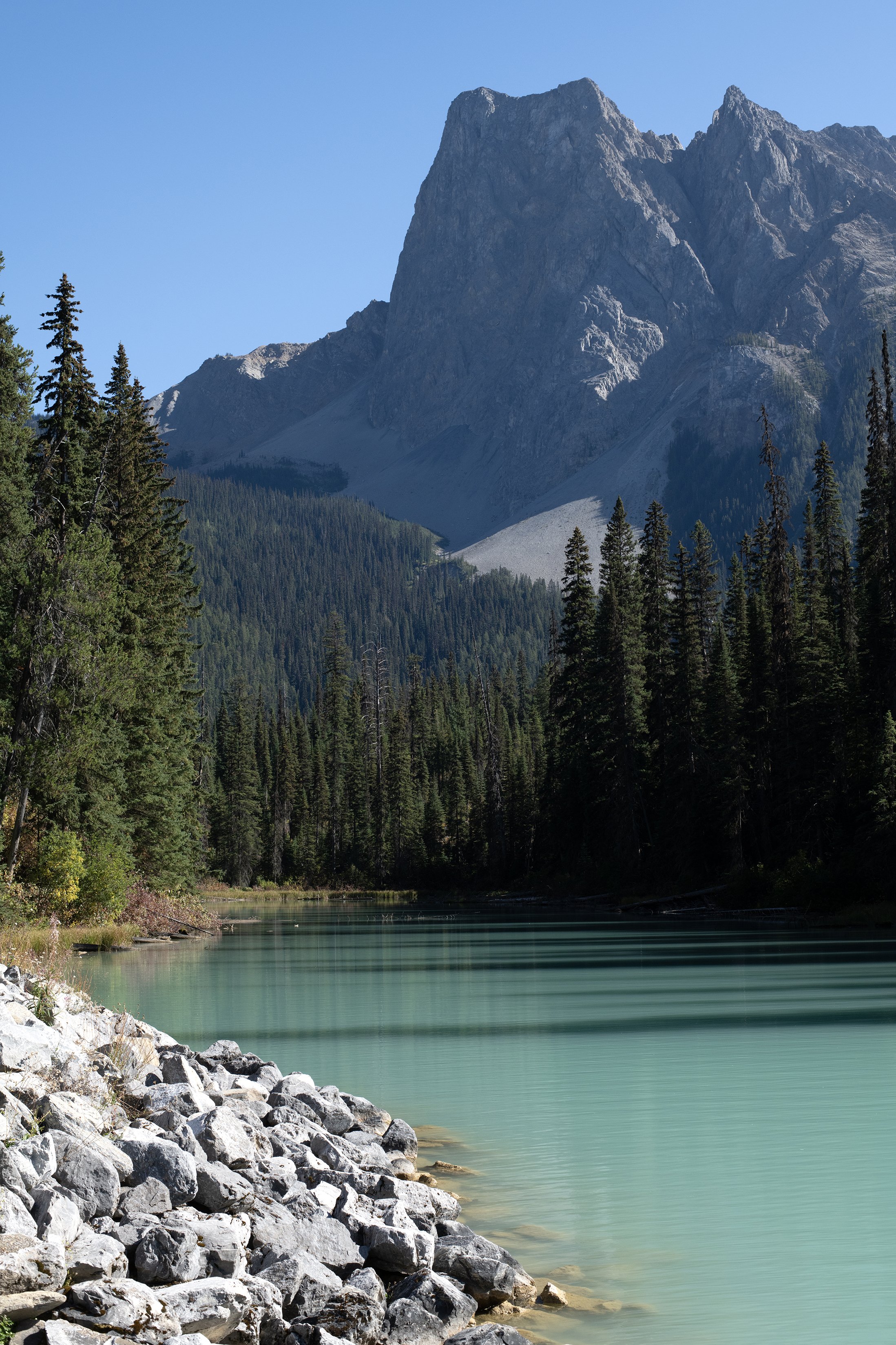 DSC_1818-1 EDITjpg copy.jpg