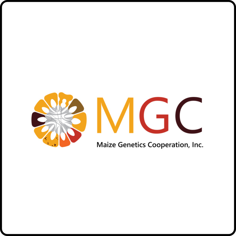 Maize Genetics Cooperation Sticker