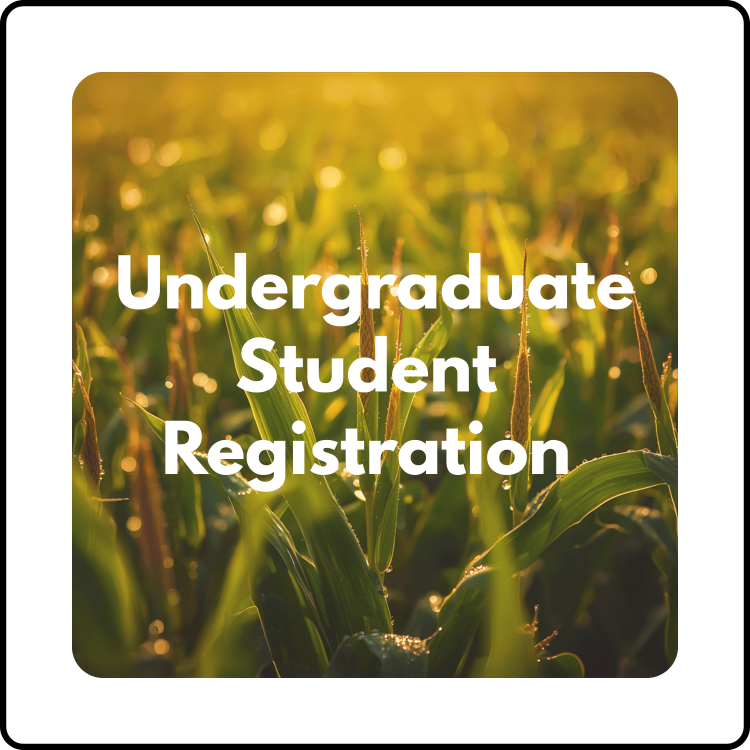 Undergraduate Student Registration