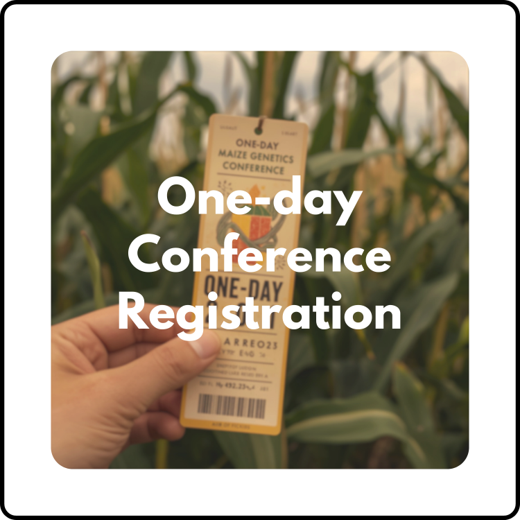 One Day Registration