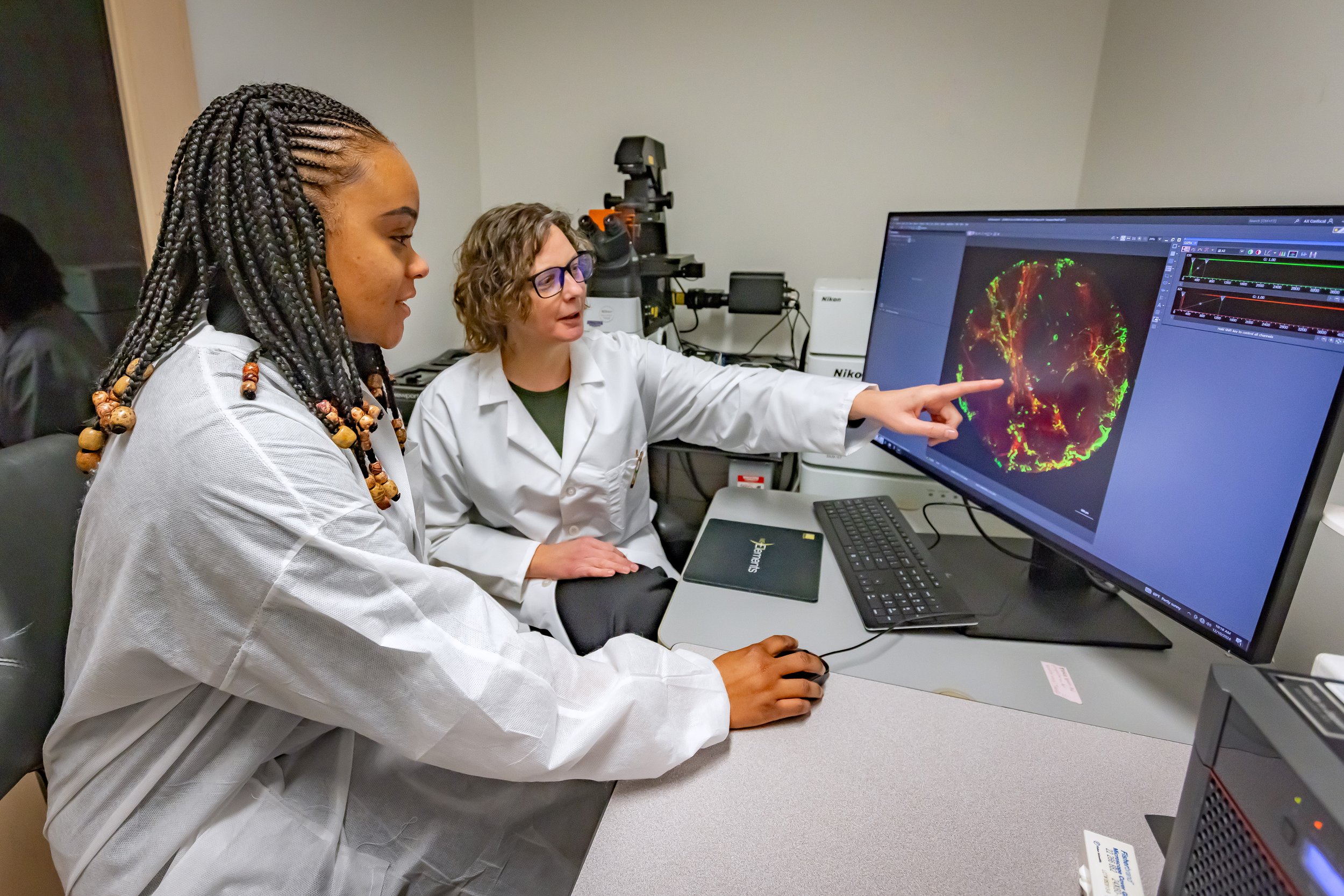 (l to r) Dorice Goune, Kelly Stevens looking at image of the blood vessels in human liver on a computer     Photo credit UW Medicine.