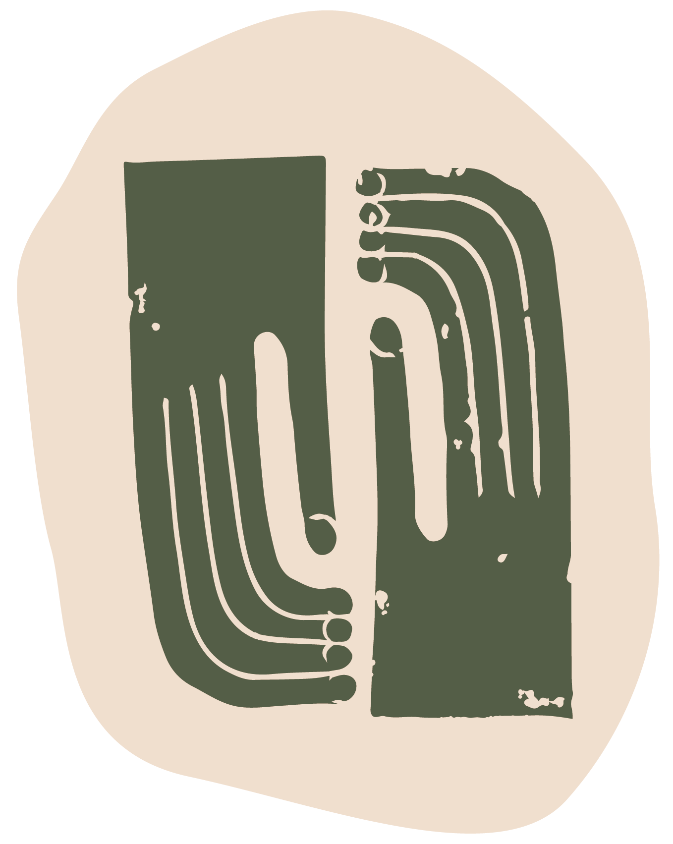 Logotipo Regenera Natura, Asociación para el cuidado y educación de los bosques de Ibiza