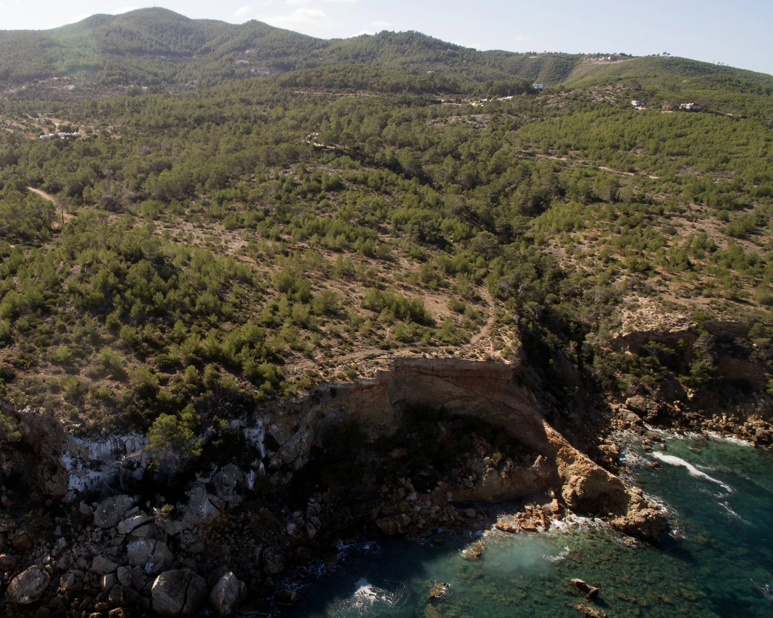 Introducción a los bosques mediterráneos: El corazón verde y olvidado de Ibiza