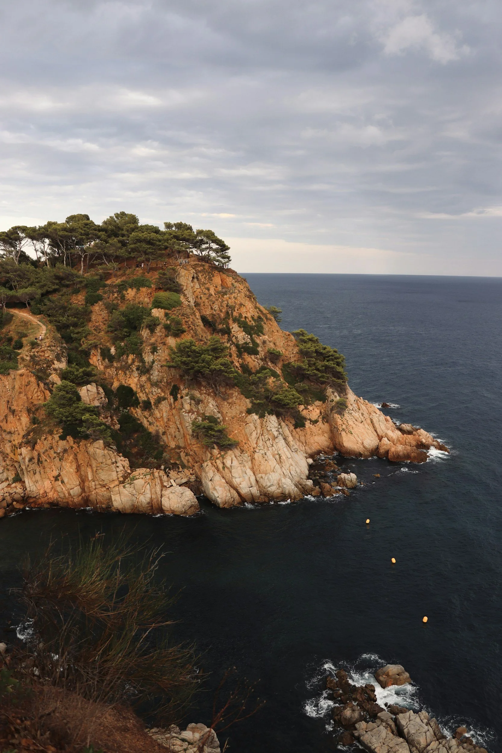 ¿Cuál es la realidad de los bosques de Ibiza? Lo que el verde oculta