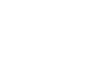 Icon of a magnifying glass over a document, symbolizing search or inquiry.