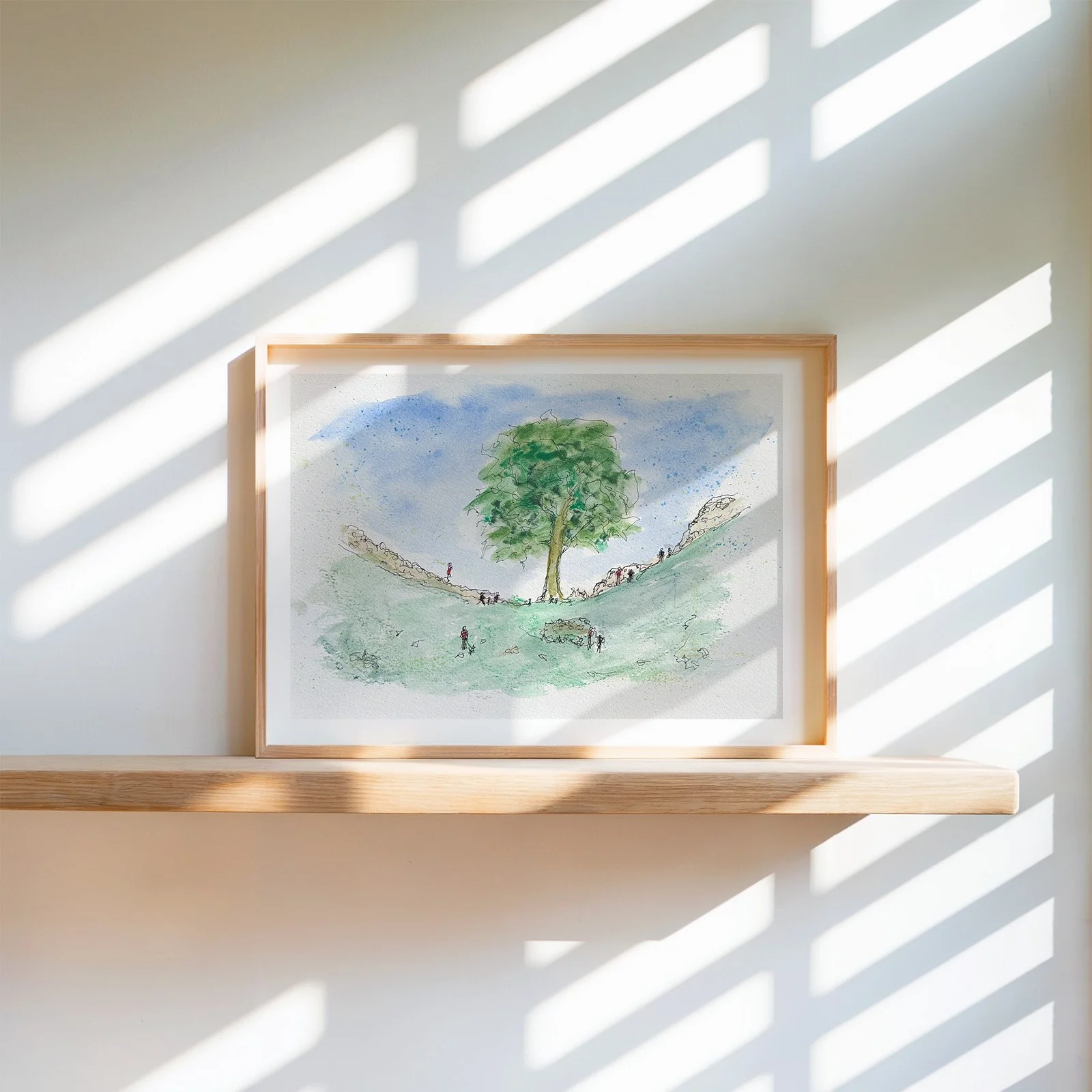 Sycamore-Gap-tree-frame.jpg