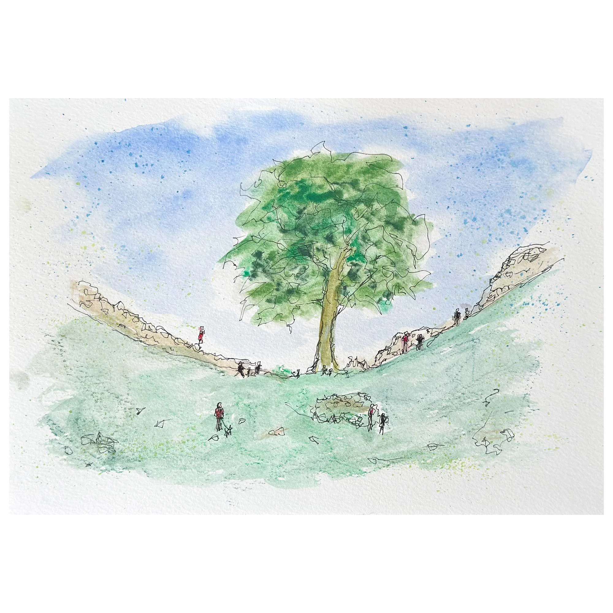 Sycamore Gap Tree - A4 Original