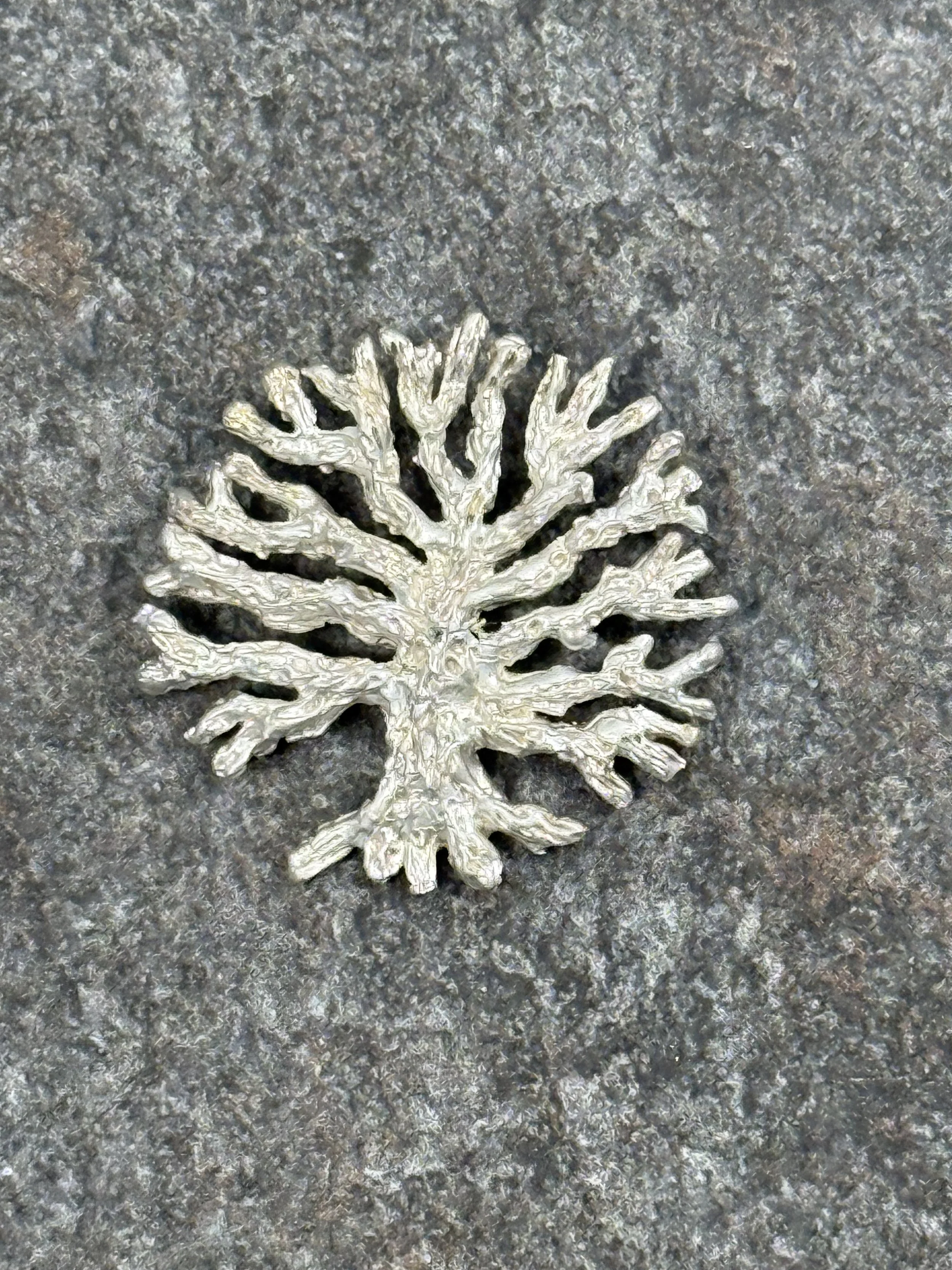 Tree of Life 4.jpeg